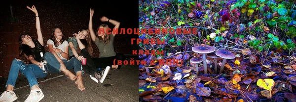 круглые Алзамай